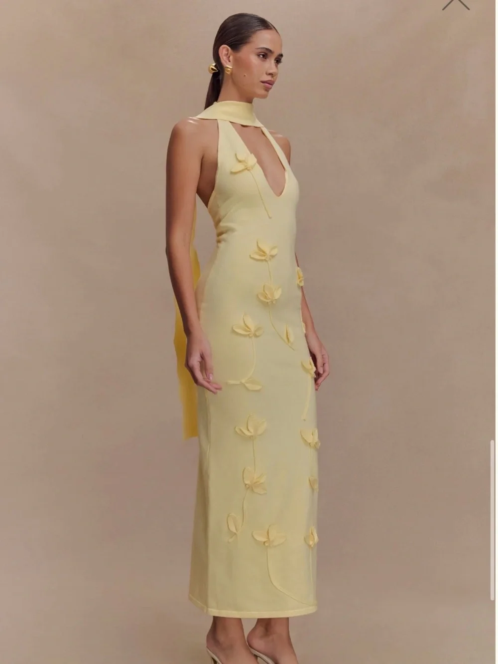 Meshki Yellow Floral Appliqué Midi Dress - Picture 5 of 6